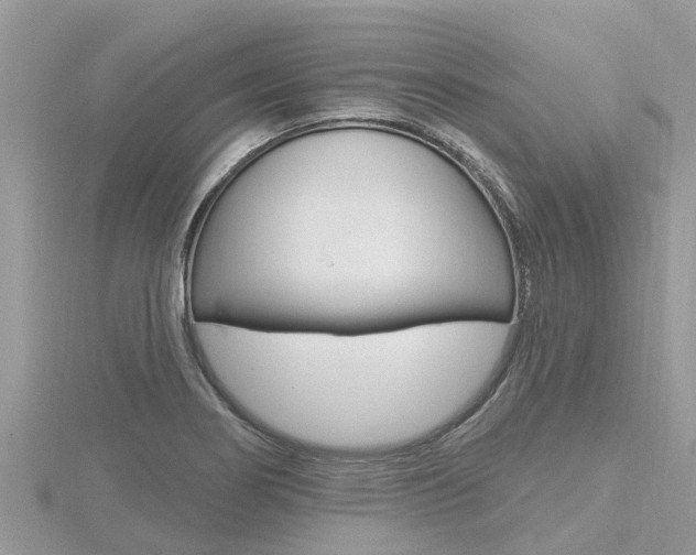X0000116491274200912090940