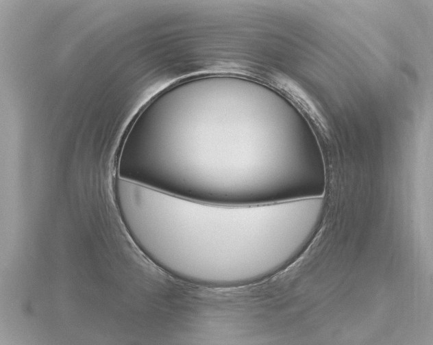 X0000116491284200912090940