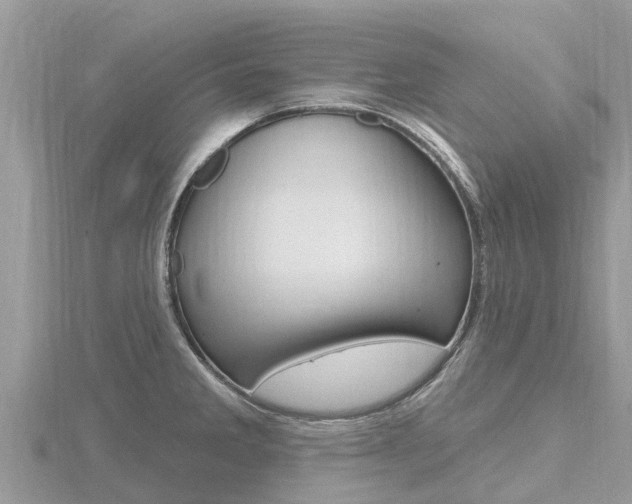 X0000116491285200912090940
