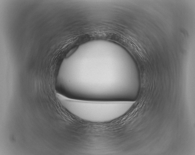 X0000116491297200912090939