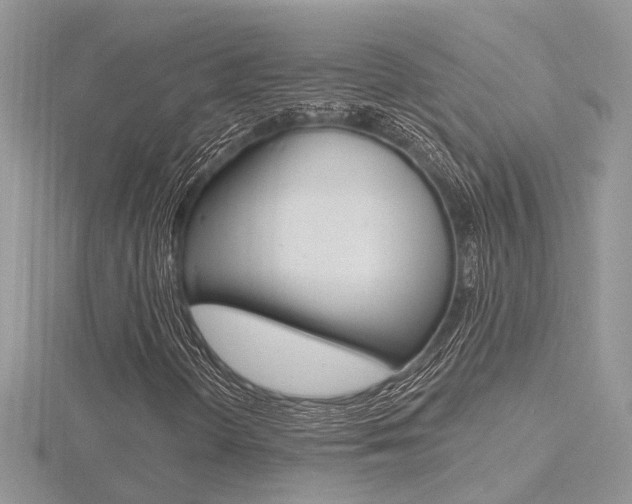 X0000116491298200912090939