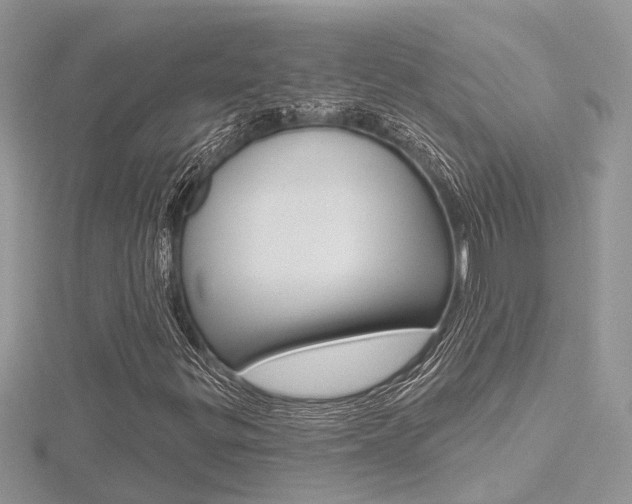 X0000116491299200912090939