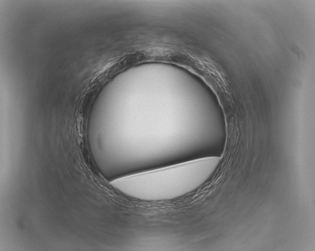 X0000116491301200912090939