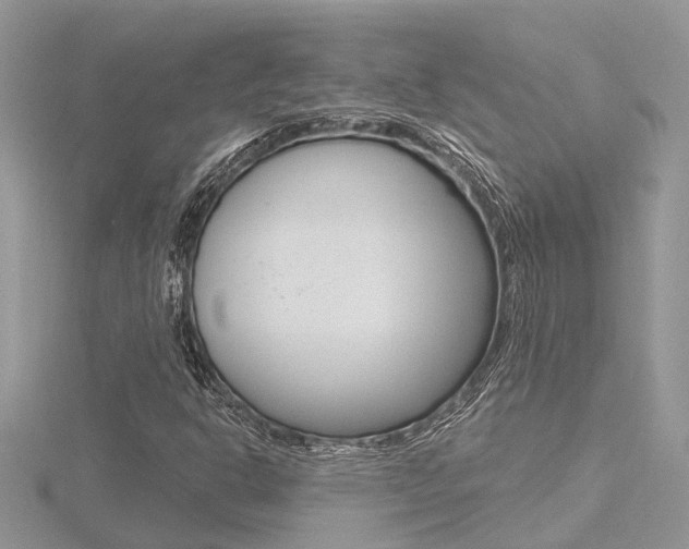 X0000116491302200912090939