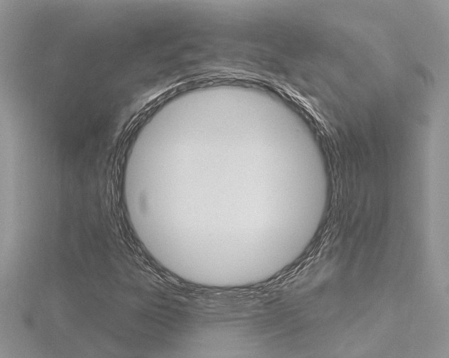 X0000116491303200912090939