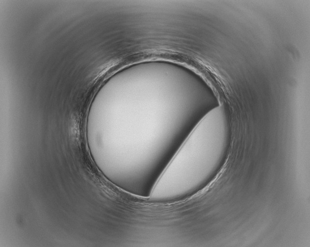 X0000116491305200912090939