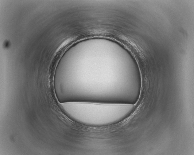 X0000116491306200912090939
