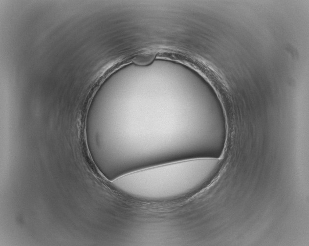 X0000116491313200912090939
