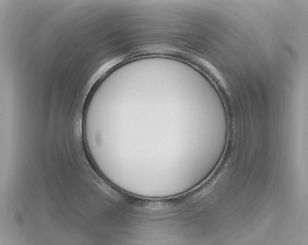 X0000116491322200912090939
