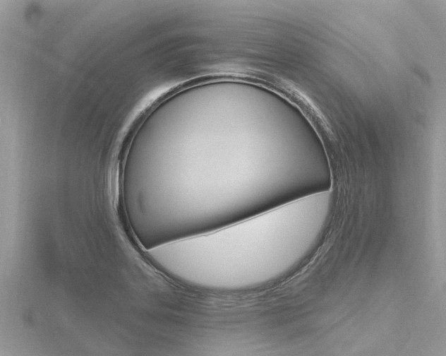 X0000116491323200912090939