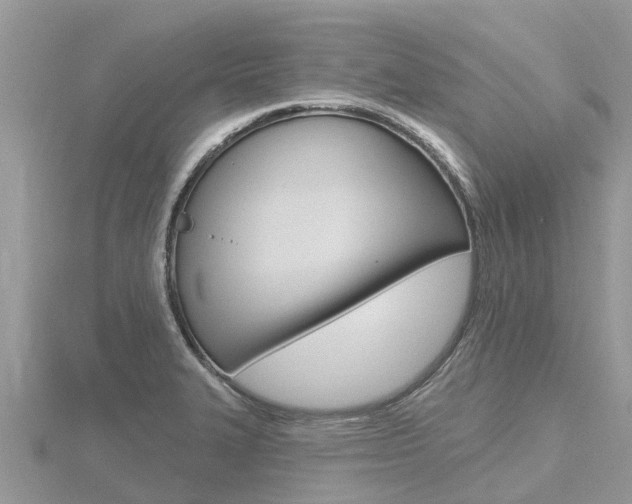 X0000116491327200912090939