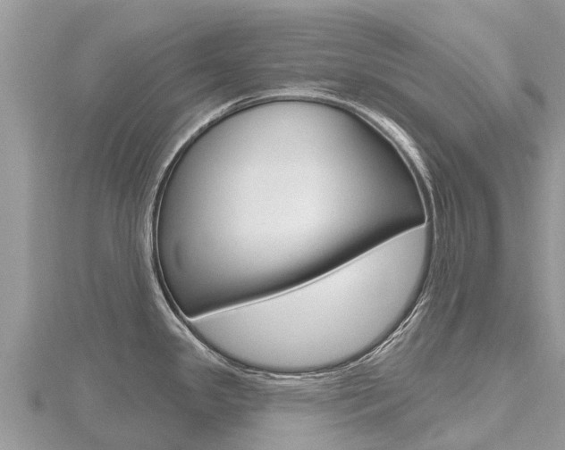 X0000116491341200912090940