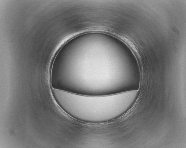 X0000116491342200912090940