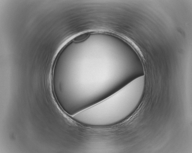 X0000116491343200912090940
