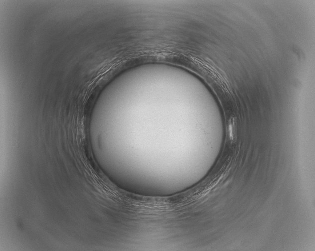X0000116491347200912090939