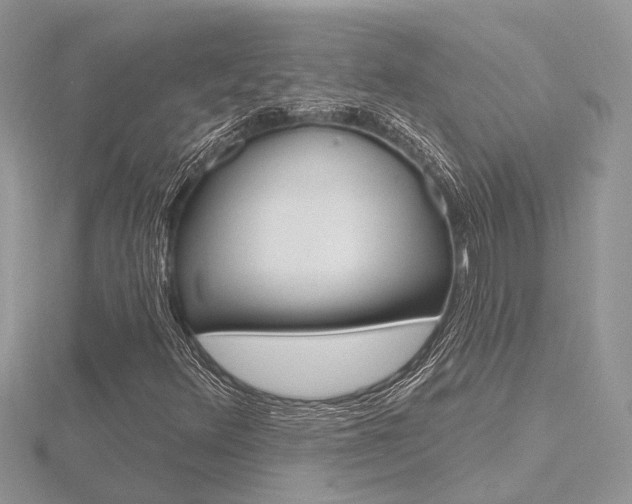 X0000116491348200912090939