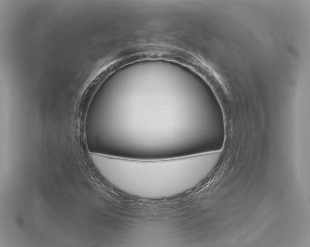 X0000116491352200912090939
