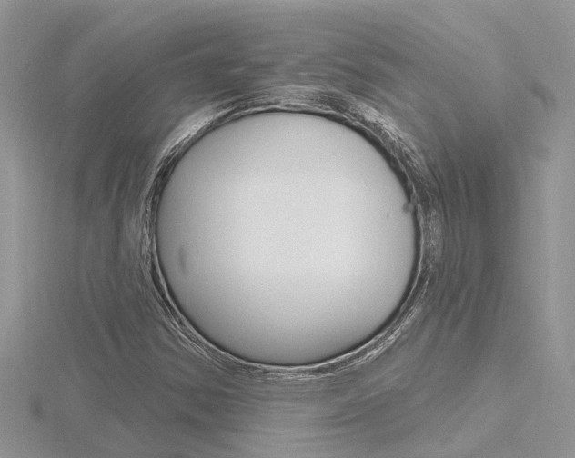 X0000116491354200912090939