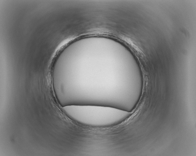 X0000116491358200912090939