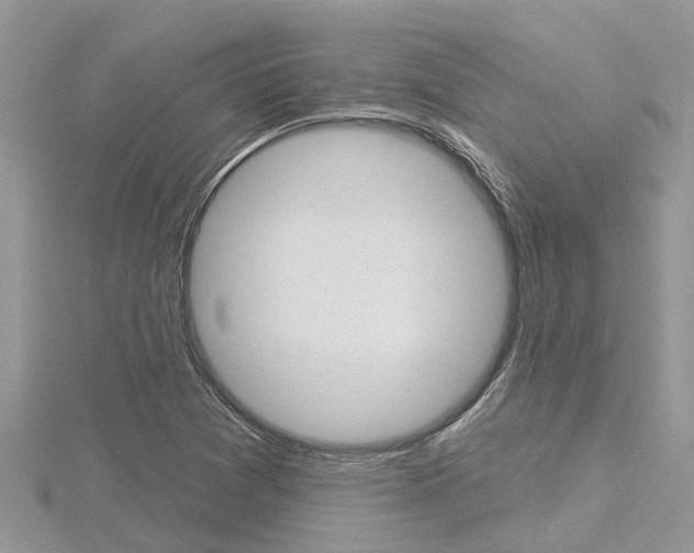 X0000116491361200912090939