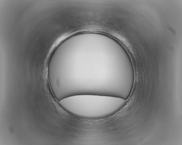 X0000116491366200912090939