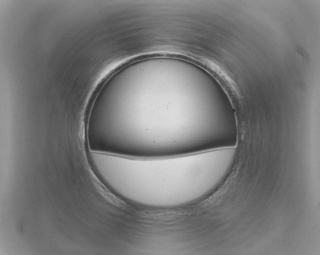 X0000116491372200912090939