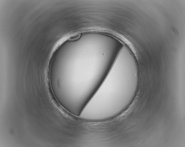 X0000116491373200912090939