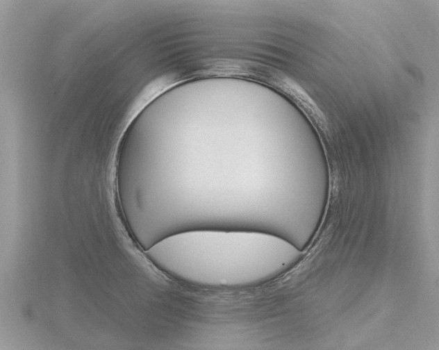 X0000116491378200912090939
