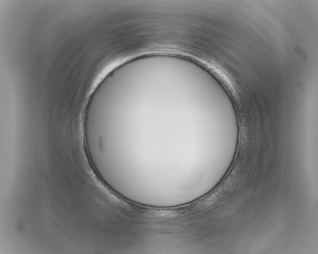 X0000116491382200912090938