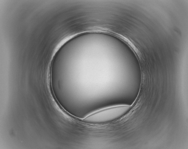 X0000116491387200912090938