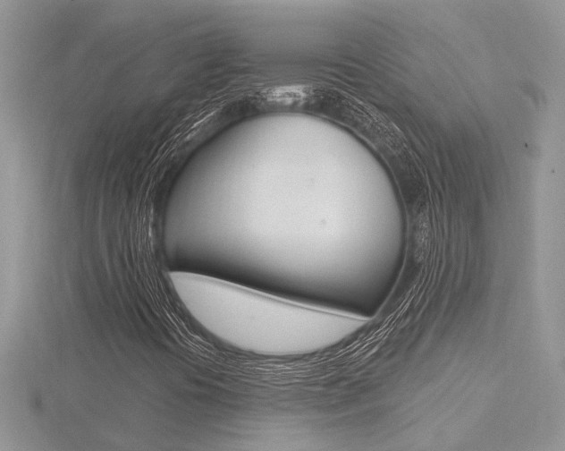 X0000116491394200912090938