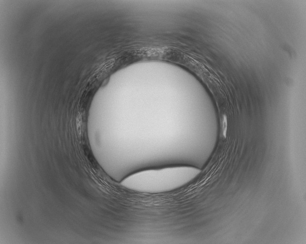 X0000116491395200912090938
