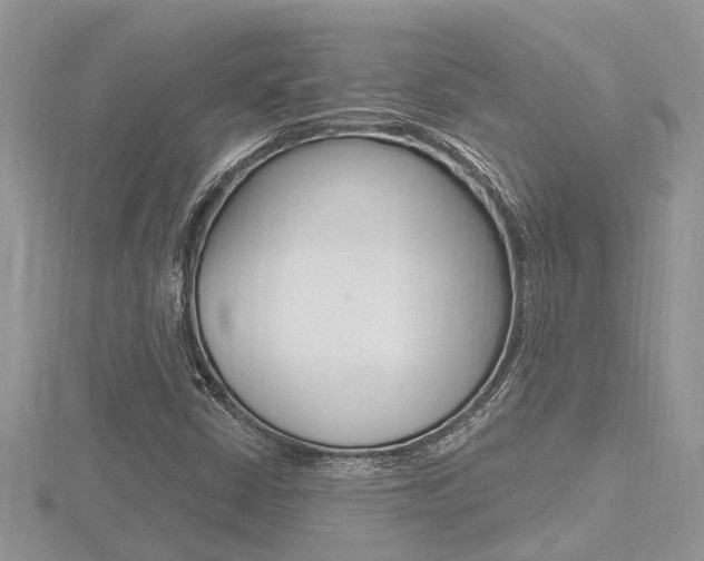 X0000116491402200912090938