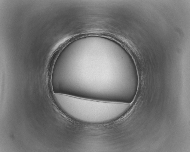 X0000116491406200912090938