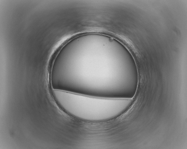 X0000116491414200912090938