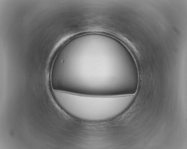 X0000116491416200912090938