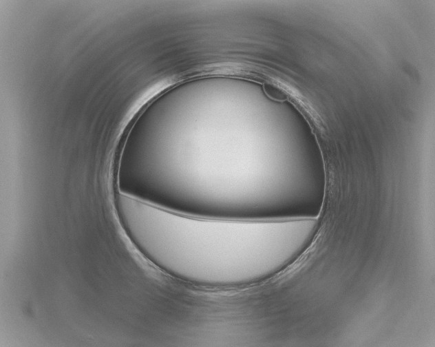 X0000116491426200912090938