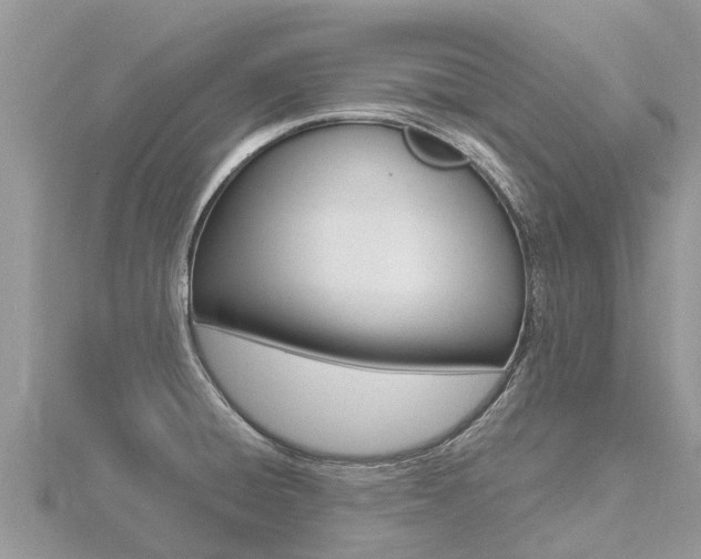 X0000116491428200912090938