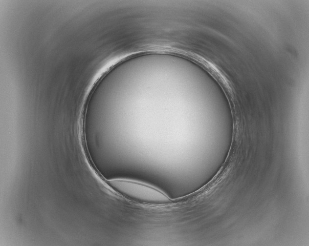 X0000116491432200912090938