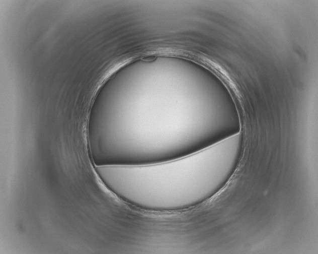 X0000116491433200912090938