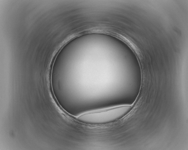 X0000116491434200912090938