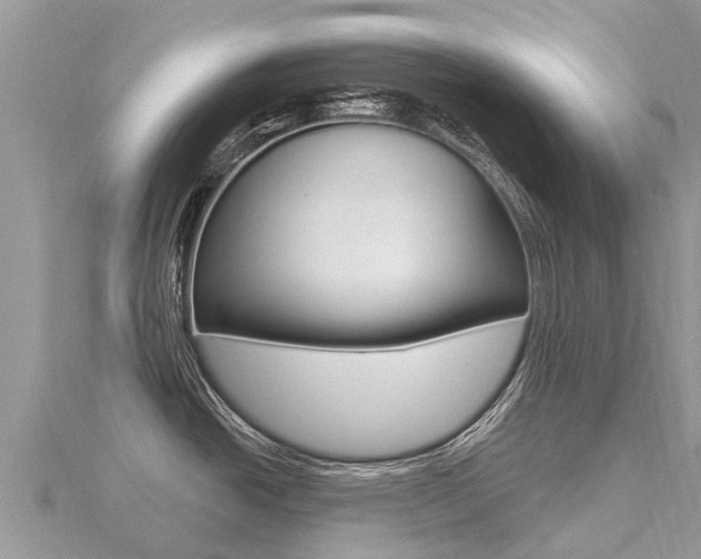 X0000116491438200912090938