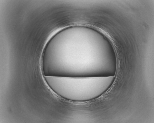 X0000116491440200912090938