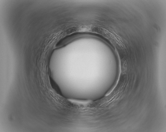 X0000116491441200912090938