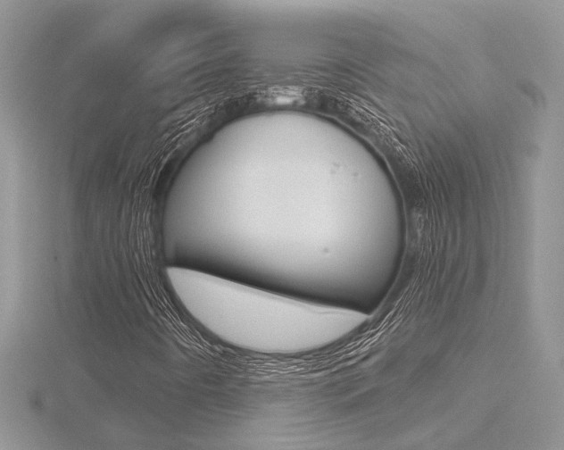 X0000116491442200912090938