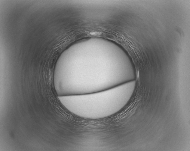 X0000116491443200912090938