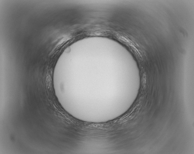 X0000116491446200912090938