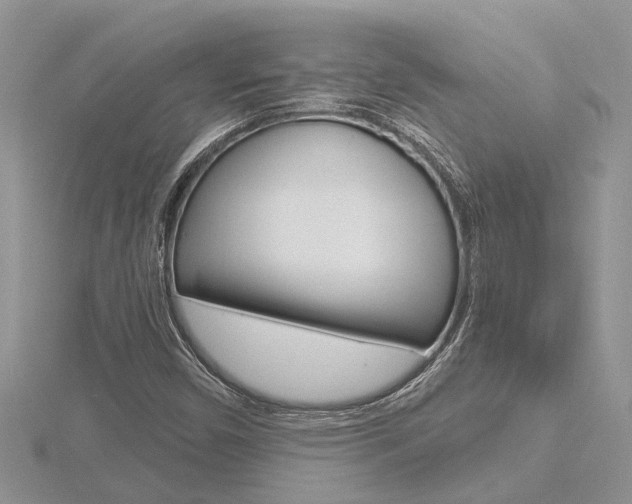 X0000116491450200912090938