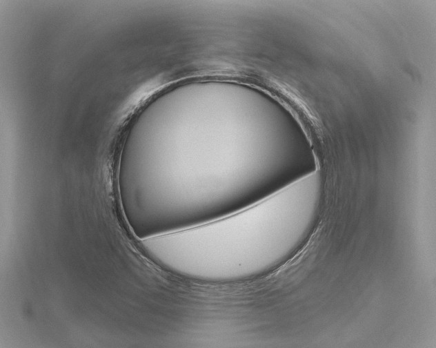 X0000116491455200912090937