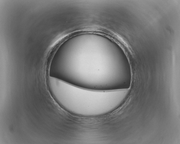 X0000116491456200912090937